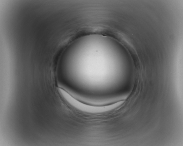 X0000115300415200911091016