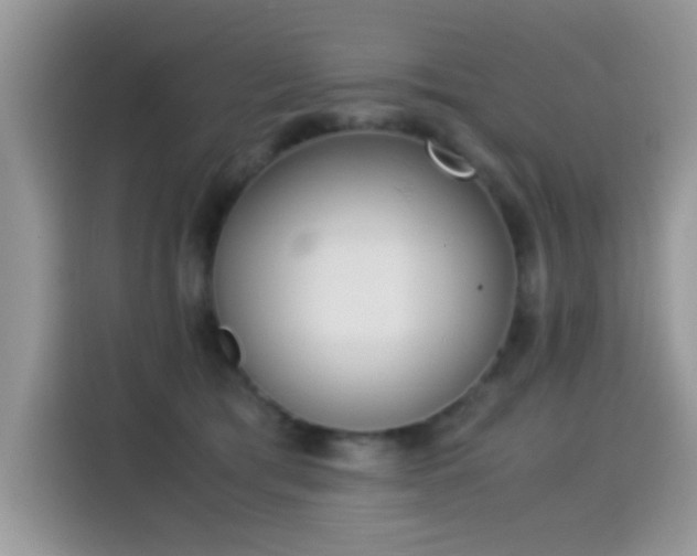 X0000115300417200911091016