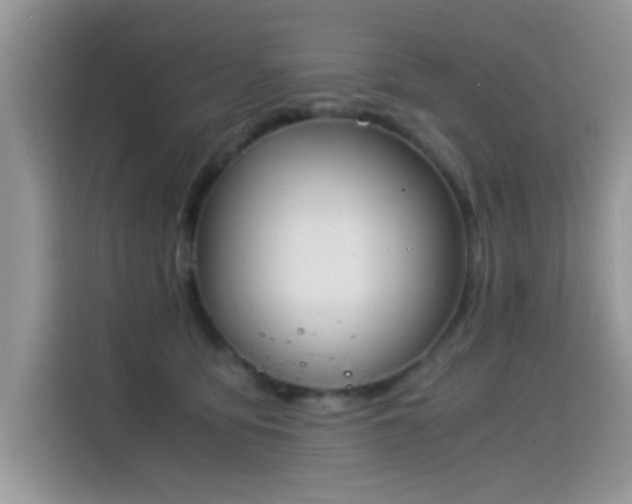 X0000115300419200911091016