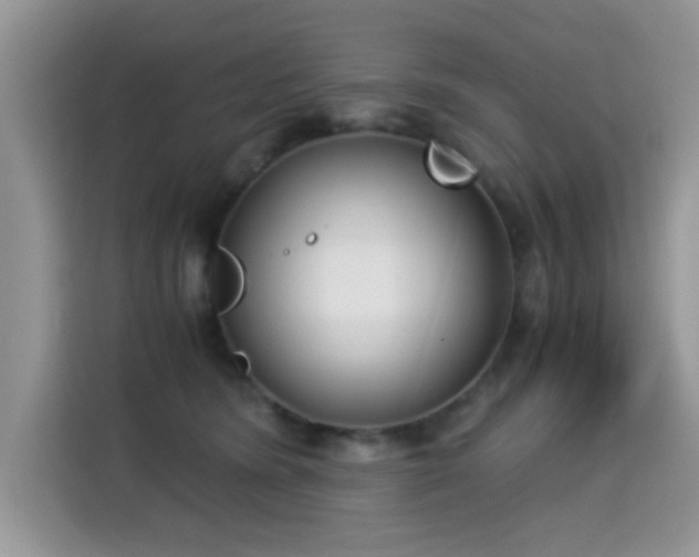 X0000115300420200911091016