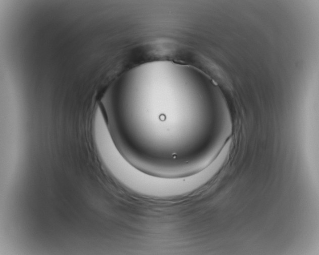 X0000115300421200911091016