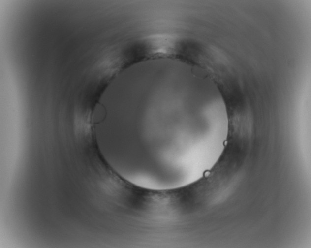 X0000115300423200911091016