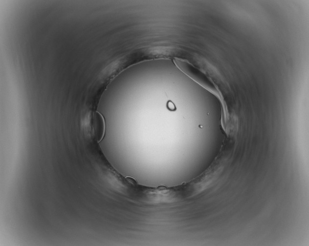 X0000115300428200911091016