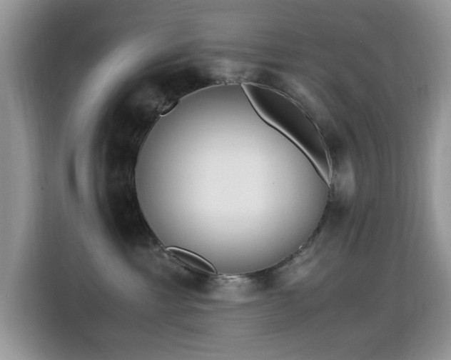 X0000115300429200911091016