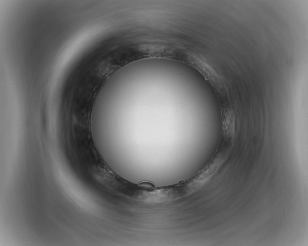 X0000115300430200911091016