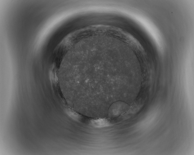 X0000115300431200911091016