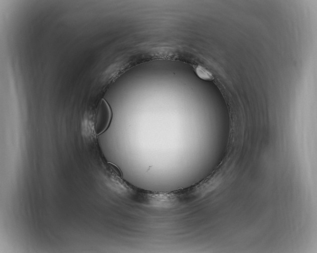 X0000115300432200911091016