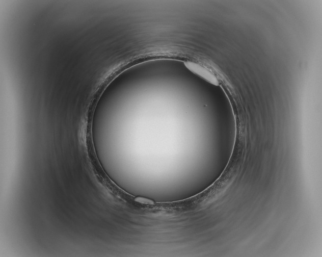X0000115300434200911091015
