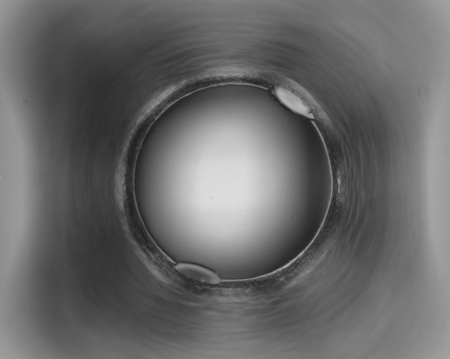 X0000115300436200911091015