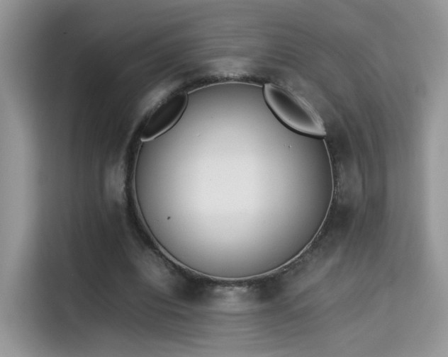 X0000115300440200911091015