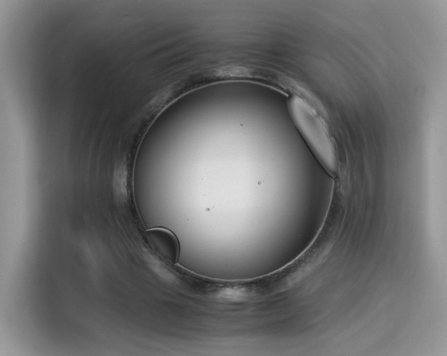 X0000115300441200911091015