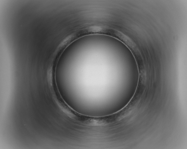 X0000115300442200911091015
