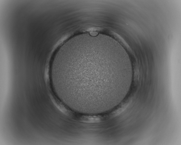 X0000115300443200911091015