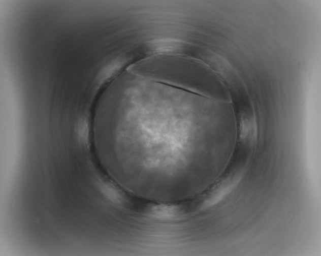 X0000115300444200911091015