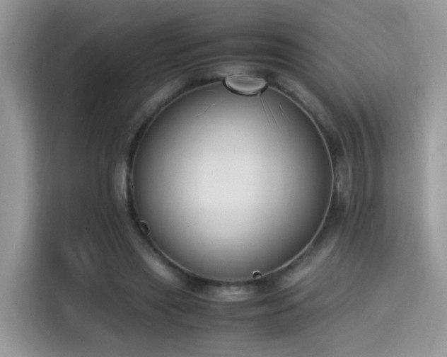 X0000115300445200911091015