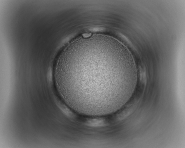 X0000115300447200911091015