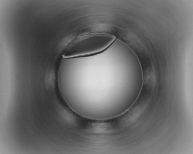 X0000115300448200911091015