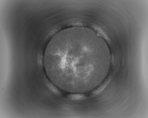 X0000115300449200911091015