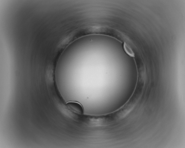 X0000115300450200911091015