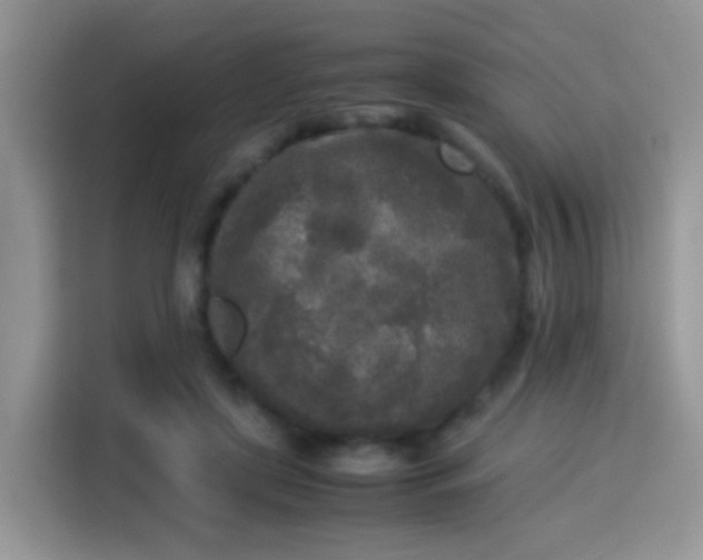 X0000115300451200911091015