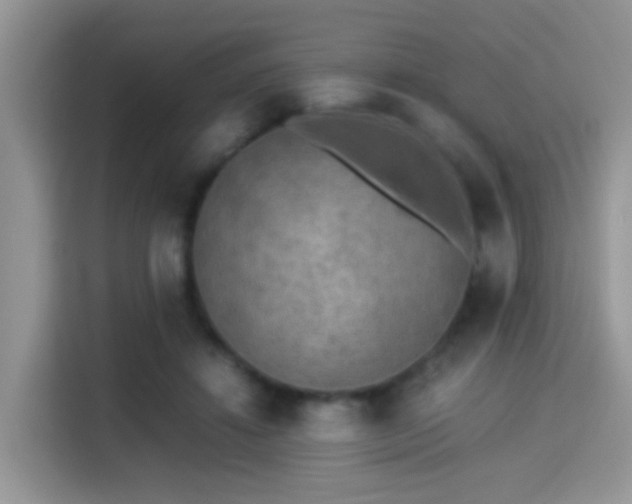 X0000115300452200911091015