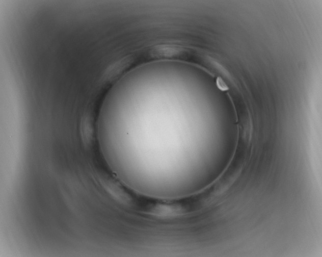 X0000115300455200911091015