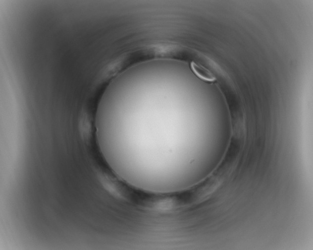 X0000115300456200911091015