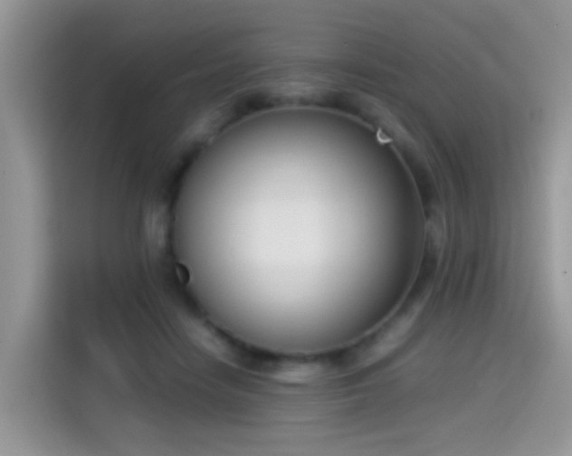 X0000115300458200911091015