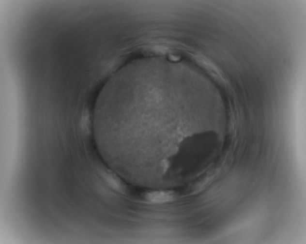 X0000115300465200911091015