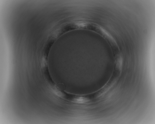 X0000115300467200911091015