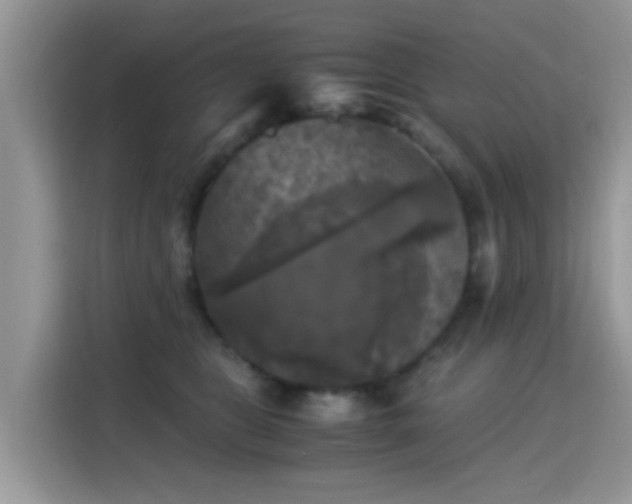 X0000115300469200911091015