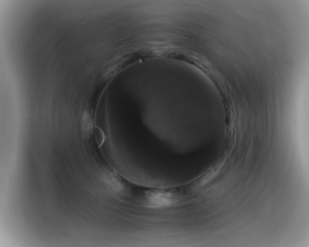 X0000115300471200911091016