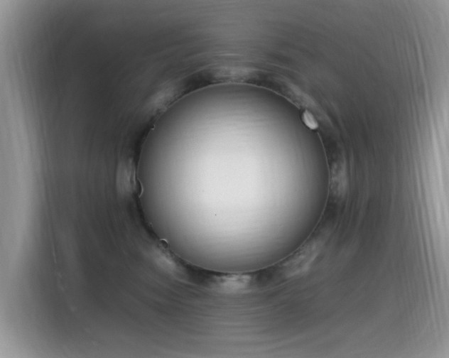 X0000115300474200911091016