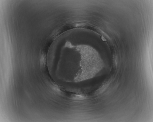 X0000115300475200911091016