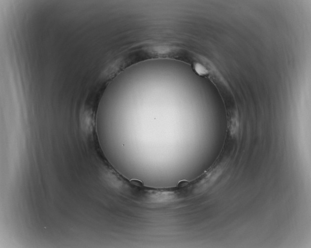 X0000115300476200911091016