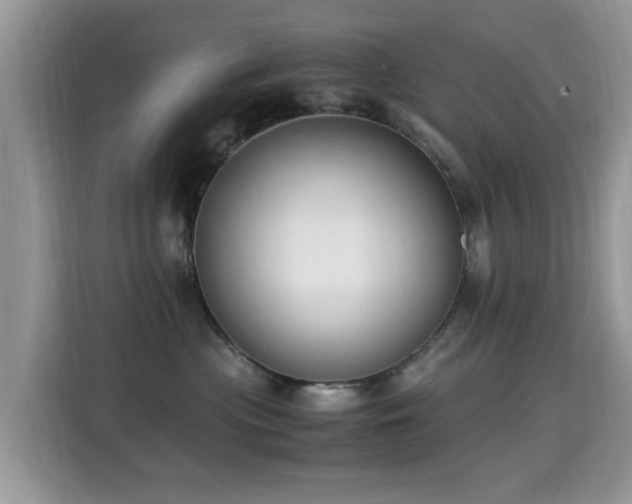 X0000115300477200911091016