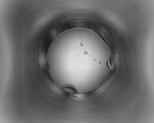 X0000115300478200911091016