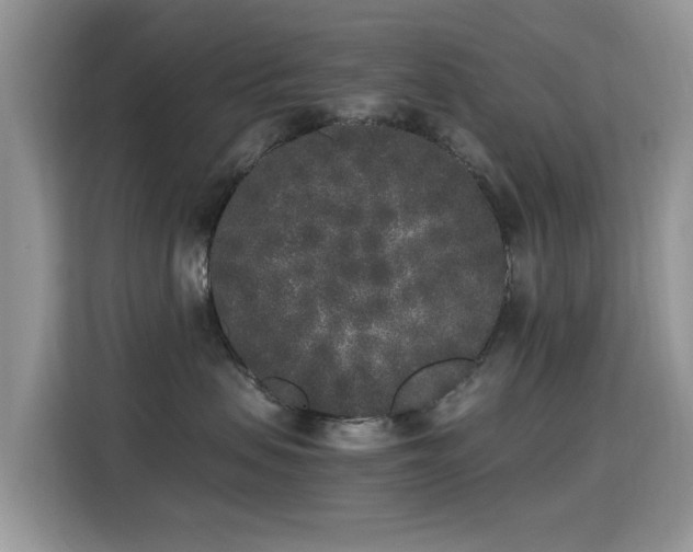 X0000115300479200911091016