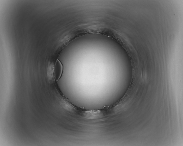 X0000115300480200911091016