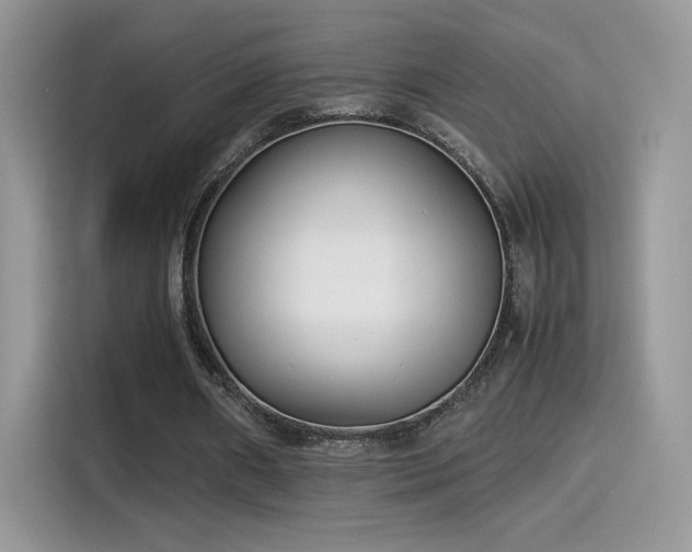 X0000115300482200911091015