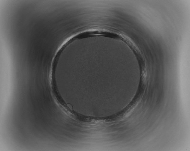 X0000115300484200911091015
