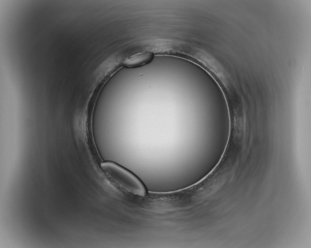 X0000115300485200911091015