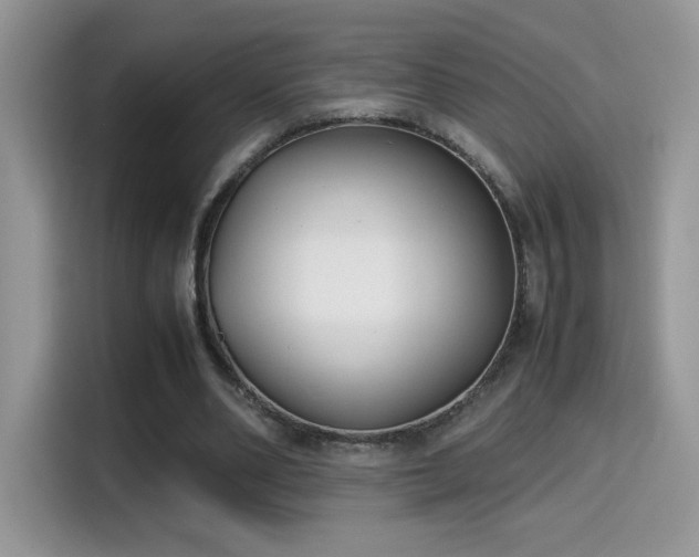 X0000115300486200911091015