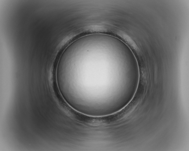 X0000115300487200911091015
