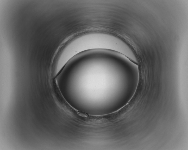 X0000115300488200911091015