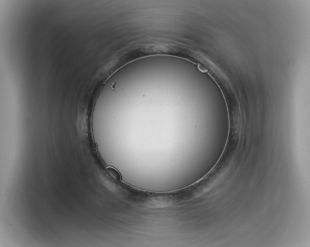 X0000115300489200911091015