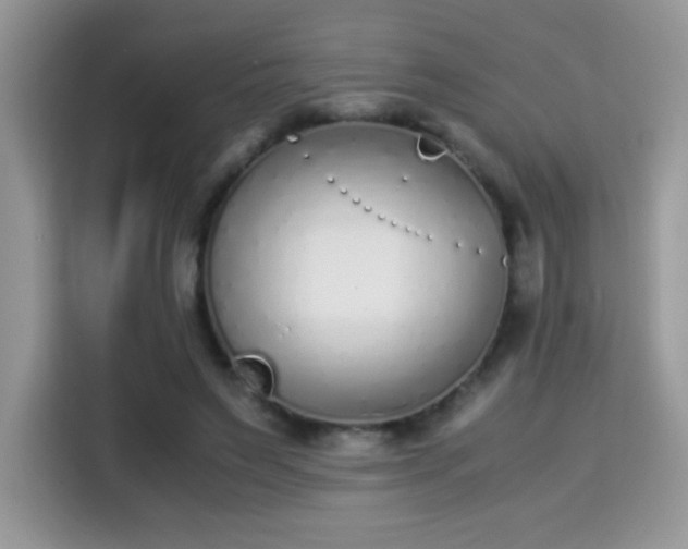 X0000115300495200911091015
