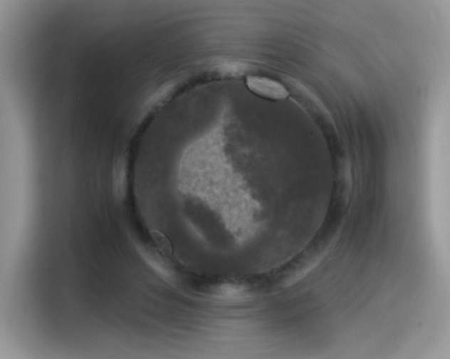 X0000115300496200911091015