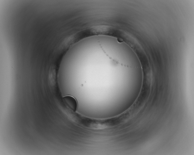 X0000115300498200911091015