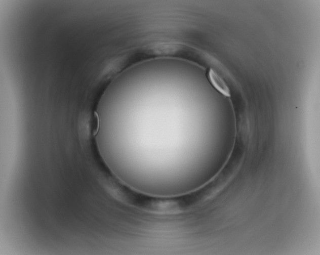 X0000115300501200911091015
